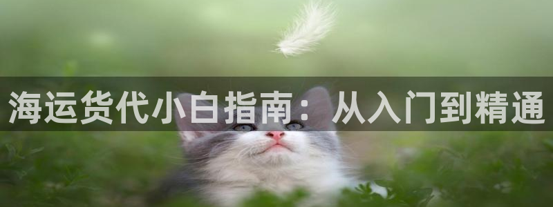 欢迎来到公海710线路是多少
