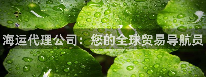 公海赌博为什么不犯法
