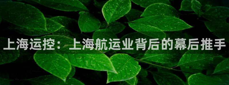 公海赌钱公安会抓吗