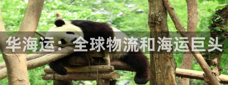 公海赌赌船官网图标