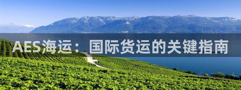 公海赌钱