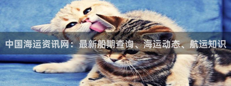 公海赌船网址710
