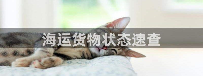 公海赌博是什么意思