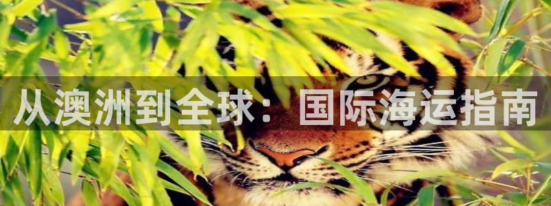 欢迎公海来到赌船710_首页(欢迎您)