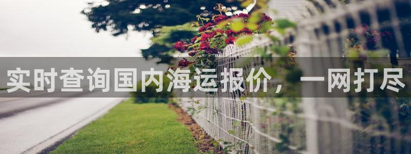 去公海赌博合法吗