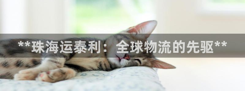 欢迎上船