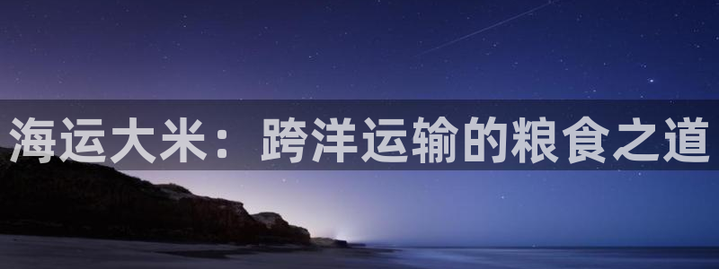 公海赌博怎么处理