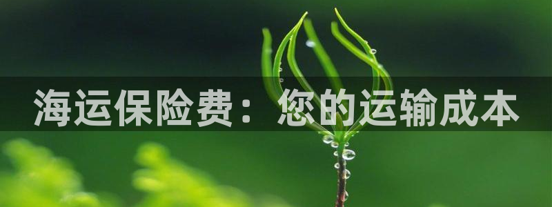 欢迎公海来到赌船710
