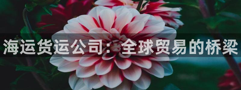 欢迎来到赌船公海710