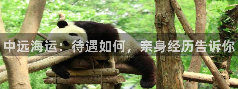 在公海赌博犯法吗