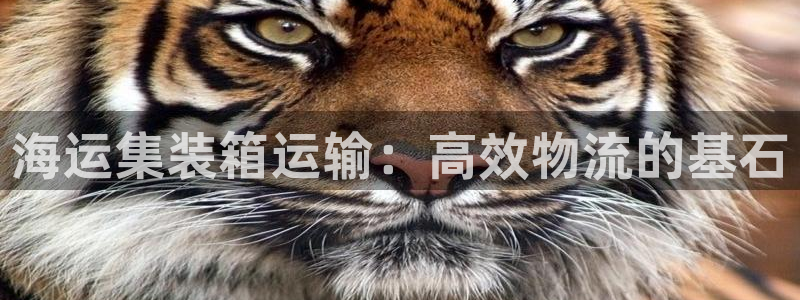 欢迎您来到公海欢迎您来到赌船