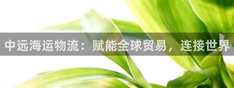 在公海赌博犯法吗